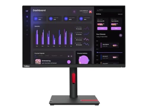 Lenovo TS/T24i-30 Monitor
