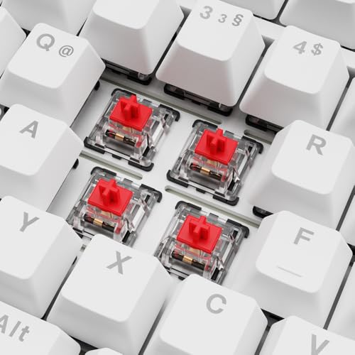 Sharkoon Skiller SGK25 RGB, Gaming Tastatur, 75% Layout, Hot Swap, Huano RED geschmierte Schalter, weiß