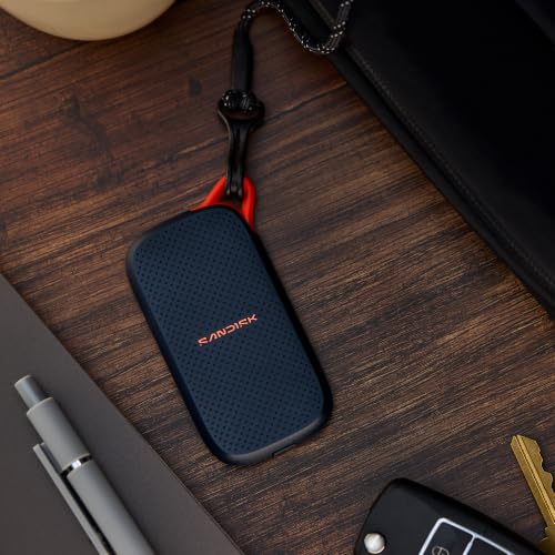 SanDisk Portable SSD 500 GB (USB Type-C, mit Laptops und Tablets kompatibel, bis zu 1.000 MB/s, Taschenformat, bis zu 2 Meter Fallschutz)