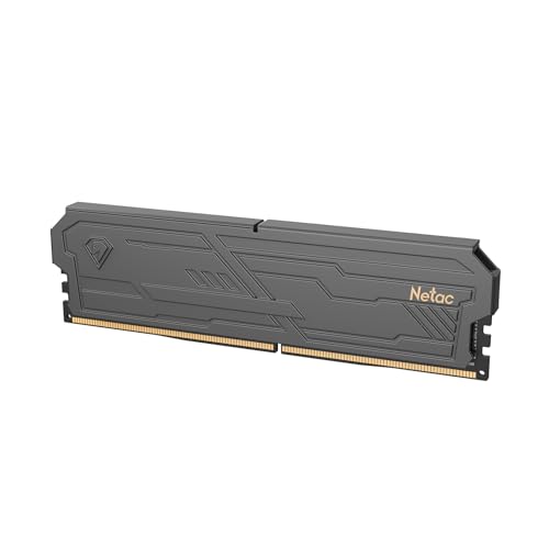 Netac DDR4 RAM 32GB Kit (2x16GB) 3200MHz DRAM 288-Pin UDIMM Desktop-Speicher CL16-20-20-40 1.35V Intel XMP 2.0 Computer-Speicher-Schwarz