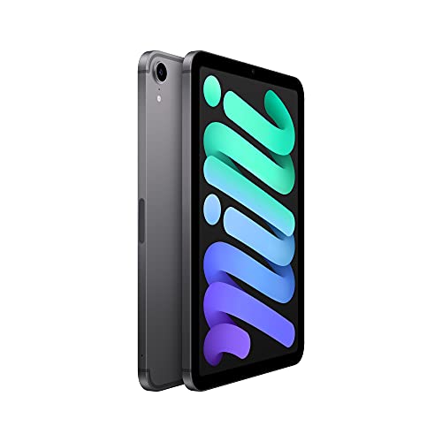 Apple 2021 iPad mini (8.3'', Wi-Fi + Cellular, 64 GB) - Space Grau (6. Generation)