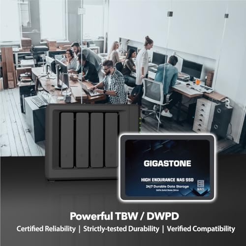 Gigastone NAS Zertifiziert 1TB SSD Festplatte (2er-Pack) TLC Hohe Dauerhaltbarkeit SSD für 24/7 Dauerbetrieb NAS-Systeme RAID 2,5 Zoll SATA III Internes Festkörper-Laufwerk SSD Caching
