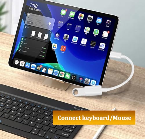 Adapter USB C auf USB, OTG Typ C auf USB Adapter Kabel, kompatibel mit iPhone 16 Pro Max/15 Pro Max, iPad, MacBook Pro/Air, Samsung Galaxy S24/S23/S22/S21, Huawei