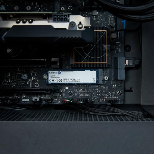 Kingston NV3 NVMe PCIe 4.0 Interne SSD 1TB M.2 2280-SNV3S/1000G | Lesen/Schreiben bis 6.000/4.000MB/s, Gewicht 7g, für Desktop-PCs und Notebooks