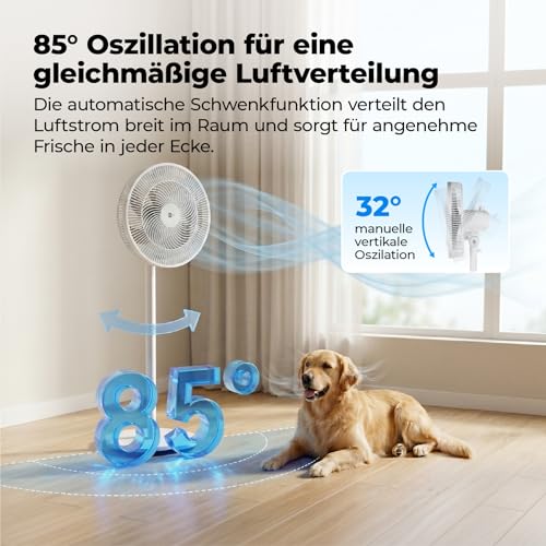 aeco AirX Flow 100 2in1 Standventilator & Tischventilator 70–116 cm Höhe | 39 dB leise Betrieb, 3 Stufen, 85° Oszillation, 7-Blatt Rotor, 55W Leistung, ideal für Schlafzimmer Büro Wohnzimmer