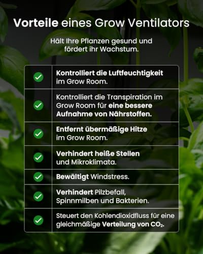 Pro Breeze Mini Ventilator mit Clip, 15 cm Durchmesser, 2 Geschwindigkeitsstufen, stabiler Clip - Ventilator leise, ideal als Tischventilator am Schreibtisch, für Growbox, Zuhause im Schlafzimmer