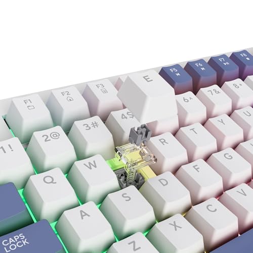 GXTrust Xyra Gasket TKL Mechanische Tastatur Deutsches Layout (QWERTZ) | Hot-Swap Creamy Gaming Tastatur 80%, USB Kabel, RGB Beleuchtung Programmierbar, 5-pin Leobog Linear 60M Schaltern, Weiß