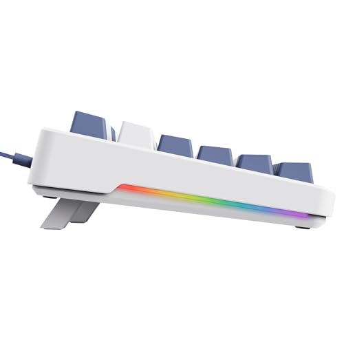 GXTrust Xyra Gasket TKL Mechanische Tastatur Deutsches Layout (QWERTZ) | Hot-Swap Creamy Gaming Tastatur 80%, USB Kabel, RGB Beleuchtung Programmierbar, 5-pin Leobog Linear 60M Schaltern, Weiß