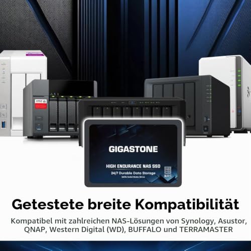 Gigastone NAS SSD 4TB SSD Festplatte (4er-Pack) Hohe Dauerhaltbarkeit SSD für 24/7 Dauerbetrieb NAS-Systeme RAID 2,5 Zoll SATA III Internes Festkörper-Laufwerk SSD Caching
