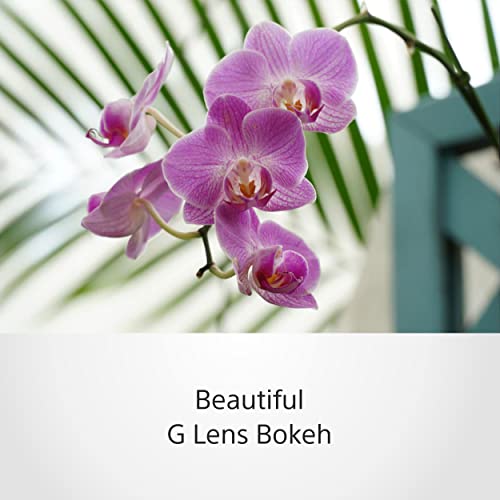 Sony SELP18105G – 18–105mm F4 G OSS Zoom-Objektiv (APS-C E-Mount, Powerzoom mit konstanter Blende, ideal für Video & Foto, kompatibel mit Sony Alpha ZV-E10, A6400, A6700, schwarz)