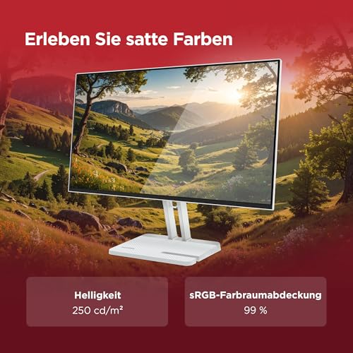 Lenovo L24-4C | Monitor | 23.8" Full HD | 144Hz | IPS | HDMI 1.4 | VGA | Home Office | 1920x1080 Auflösung | 250 nits | 1ms Reaktionszeit | IPS-Panel | Entspiegelt | Lautsprecher | Grau