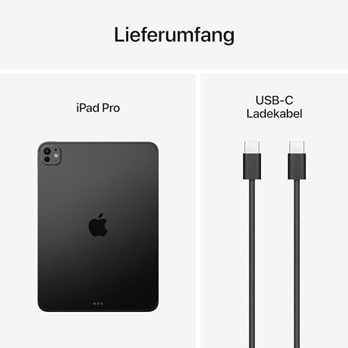 Apple 11" iPad Pro (M4): Ultra Retina XDR Display, 1 TB, 12 MP Querformat Frontkamera/12 MP Rückkamera, LiDAR Scanner, WLAN 6E und 5G Mobilfunk mit eSIM, Face ID, Standardglas – Space Schwarz