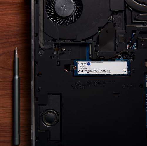 Kingston NV3 NVMe PCIe 4.0 Interne SSD 1TB M.2 2280-SNV3S/1000G | Lesen/Schreiben bis 6.000/4.000MB/s, Gewicht 7g, für Desktop-PCs und Notebooks