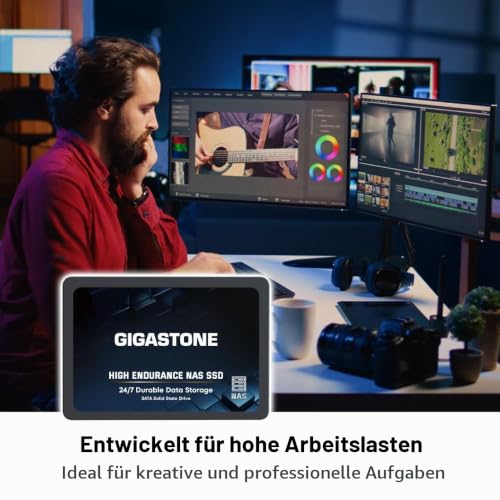 Gigastone NAS SSD 4TB SSD Festplatte (4er-Pack) Hohe Dauerhaltbarkeit SSD für 24/7 Dauerbetrieb NAS-Systeme RAID 2,5 Zoll SATA III Internes Festkörper-Laufwerk SSD Caching