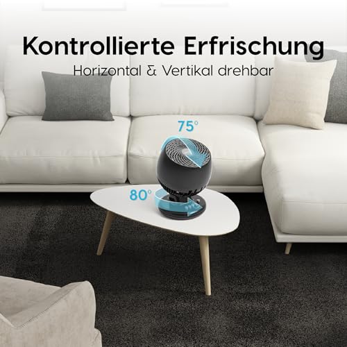 Iris Ohyama Woozoo, Leiser, leistungsstarker & tragbarer Tischventilator, 23m², Reichweite 12m, Oszillation, Vertikale Neigung, Zimmer - Woozoo PCF-M18 - Schwarz