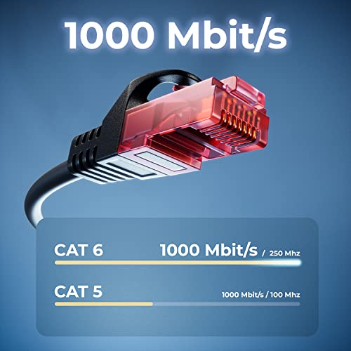 deleyCON 30m CAT6 Outdoor Patchkabel 250 MHz AWG 24 LDPE Mantel - Schwarz