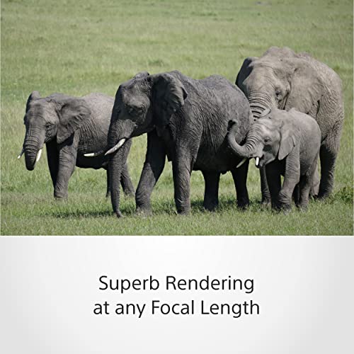 Sony SEL70350G – 70–350mm F4.5–6.3 G OSS Supertele-Zoom | APS-C E-Mount Objektiv mit Bildstabilisierung, ideal für Natur, Sport & Reisen, kompatibel mit Sony ZV-E10, A6400 & A6700