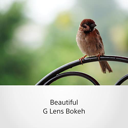 Sony SEL70350G – 70–350mm F4.5–6.3 G OSS Supertele-Zoom | APS-C E-Mount Objektiv mit Bildstabilisierung, ideal für Natur, Sport & Reisen, kompatibel mit Sony ZV-E10, A6400 & A6700