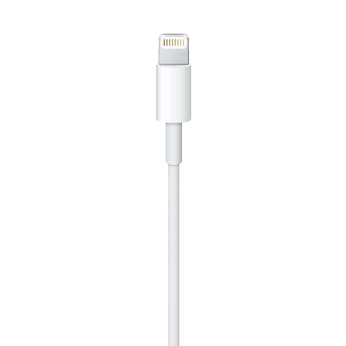 Apple Lightning auf USB Kabel (1 m) ​​​​​​​