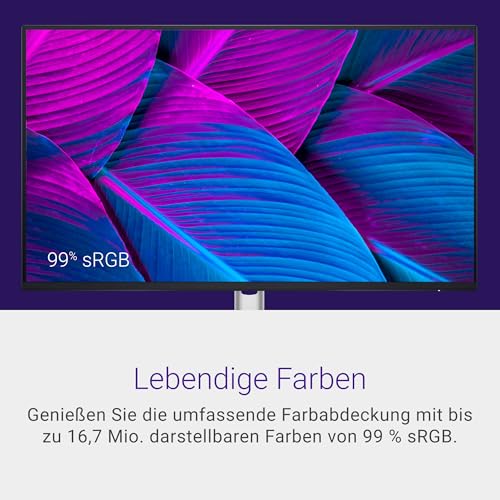 Dell P2425H 24 Zoll Full HD (1920x1080) Monitor, 100Hz, IPS, 5ms, 99% sRGB, USB-C, DisplayPort, HDMI, VGA, 4X USB, 3 Jahre Garantie, Schwarz