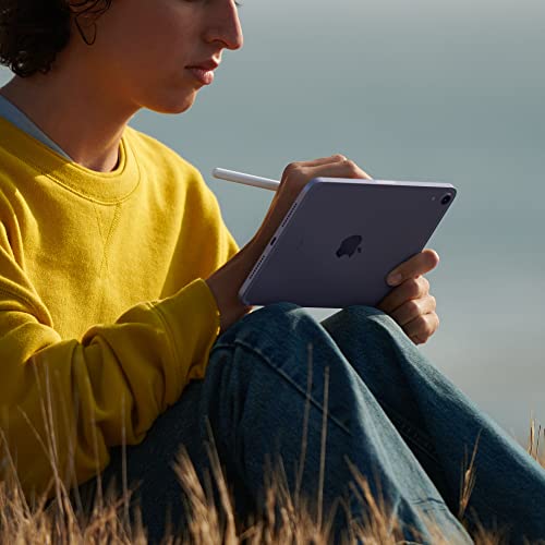 Apple 2021 iPad mini (8.3'', Wi-Fi + Cellular, 64 GB) - Space Grau (6. Generation)