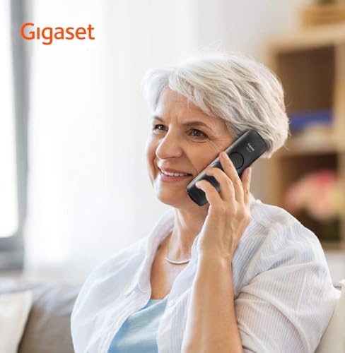 Gigaset E290 Duo - 2 Schnurlose Senioren-Telefone ohne Anrufbeantworter, große Tasten, Zielwahltasten für wichtige Nummern, Verstärker-Funktion für extra lautes Hören, schwarz [Deutsche Version]