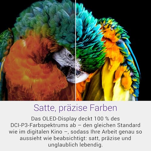 16 Premium Laptop DA16250-16,3" 4K OLED Touchscreen 120Hz, Intel Core Ultra 9 285H, RTX 5070, 32GB RAM, 1TB SSD, Windows 11 Home, Studio-Audio, QWERTZ, Platinum - 1 Jahr Dell Care Plus