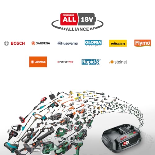 Bosch DIY Akkupack PBA 18V 4.0Ah W-C | Batterie Akku, im Karton, 1600A011T8, 4 Ah