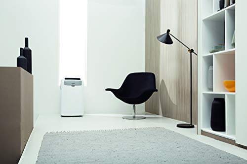 Whirlpool PL Klimaanlage, tragbar, 9 K BTU oder 2,5 kW, R290, umkehrbar, Wärmepumpe, weiß, A+, A+