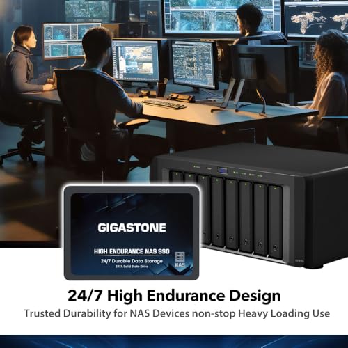 Gigastone NAS Zertifiziert 1TB SSD Festplatte (2er-Pack) TLC Hohe Dauerhaltbarkeit SSD für 24/7 Dauerbetrieb NAS-Systeme RAID 2,5 Zoll SATA III Internes Festkörper-Laufwerk SSD Caching