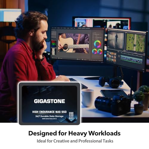 Gigastone NAS Zertifiziert 1TB SSD Festplatte (2er-Pack) TLC Hohe Dauerhaltbarkeit SSD für 24/7 Dauerbetrieb NAS-Systeme RAID 2,5 Zoll SATA III Internes Festkörper-Laufwerk SSD Caching