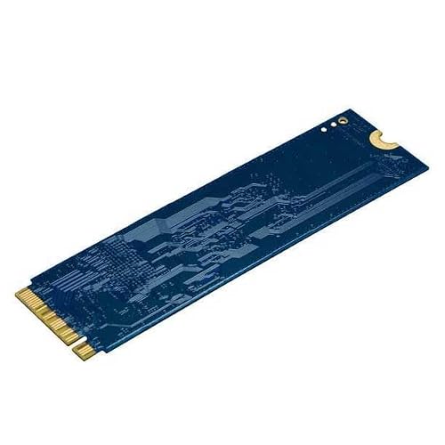 Kingston NV3 NVMe PCIe 4.0 Interne SSD 1TB M.2 2280-SNV3S/1000G | Lesen/Schreiben bis 6.000/4.000MB/s, Gewicht 7g, für Desktop-PCs und Notebooks