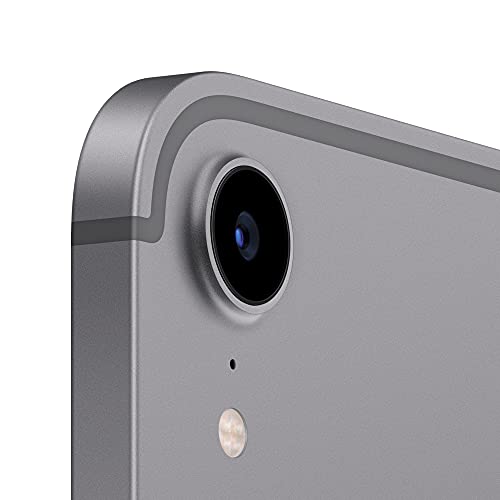 Apple 2021 iPad mini (8.3'', Wi-Fi + Cellular, 64 GB) - Space Grau (6. Generation)