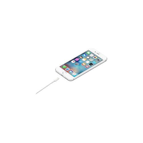 Apple Lightning auf USB Kabel (1 m) ​​​​​​​
