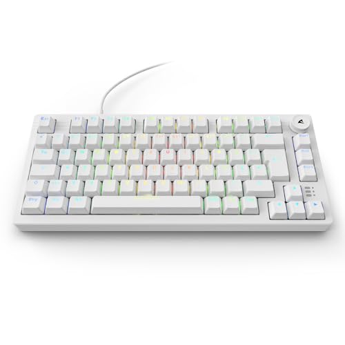 Sharkoon Skiller SGK25 RGB, Gaming Tastatur, 75% Layout, Hot Swap, Huano RED geschmierte Schalter, weiß