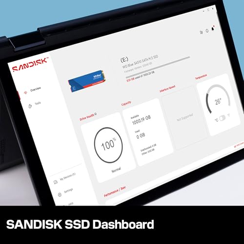 WD Blue SA510 SATA SSD 1 TB M.2 2280 (Lesen bis 560 MB/s, Schreiben bis 520 MB/s, Upgrade für PC/Laptop, dreimonatiges Probeabo von Dropbox Professional, Western Digital SSD Dashboard)