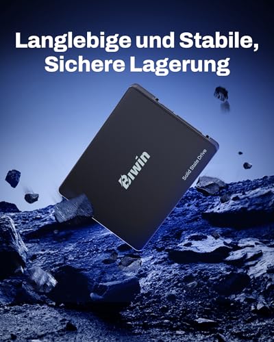 BIWIN M100 SATA 3.0 SSD 512GB - bis zu 550 MB/s Lesen - 6 Gb/s Internes Solid State Drive 2,5" für Laptop & Desktop – Schnell, Leise, Stoßfest
