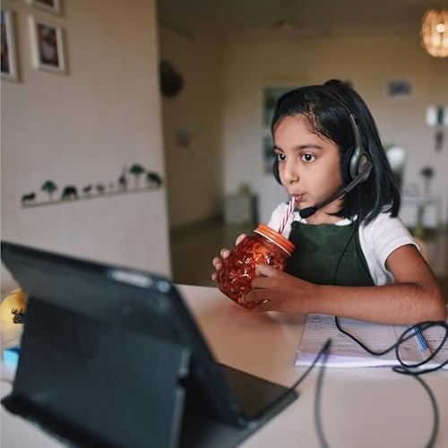 Logitech H111 Kopfhörer mit Mikrofon, Stereo-Headset, Verstellbares Mikrofon mit Rauschunterdrückung, Verstellbarer Kopfbügel, Audio/Mikrofon Dualanschluss mit zwei 3,5mm Klinken - Schwarz