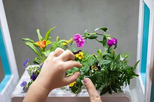 aspara SmartPot by GrowGreen Stylist Lite Smart Grower
